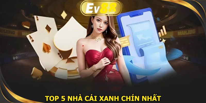 Top 5 nhà cái xanh chín nhất
